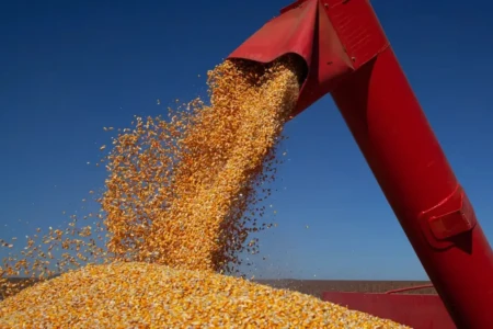 TJGO reconhece grãos como essenciais e barra apreensão em recuperação judicial de produtores