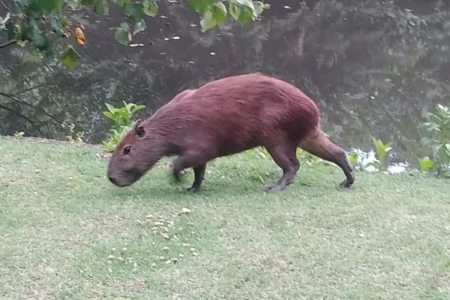 50727309381_6f47872ffc_b