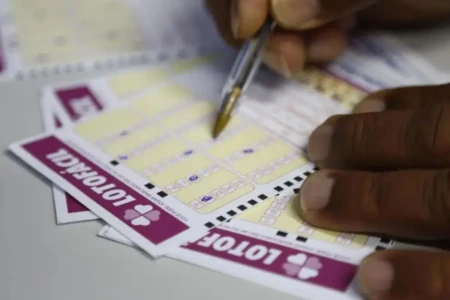 Concurso 3643 da Lotofácil: veja resultado e prêmios que saíram para Goiás (Foto: Agência Brasil)