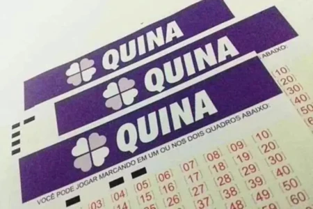 Concurso 6985 da Quina: veja resultado e prêmios que saíram para Goiás (Foto: Agência Brasil)