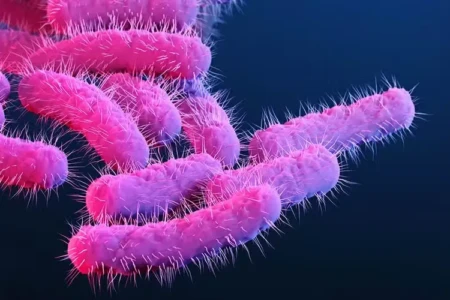 Superbactéria contagiosa transmitida por sexo tem alta de casos no Reino Unido aumento de 25% de infecções por Shigella