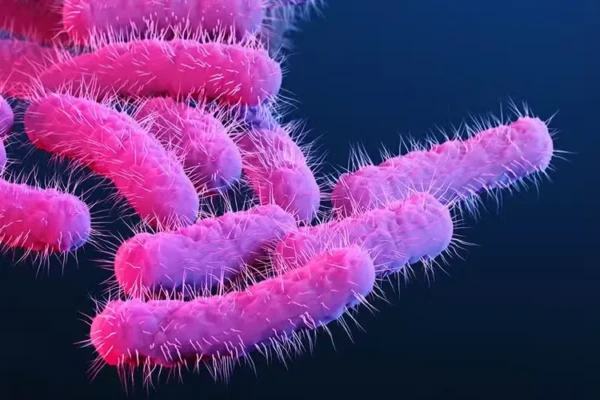 Superbactéria contagiosa transmitida por sexo tem alta de casos no Reino Unido aumento de 25% de infecções por Shigella
