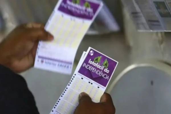 Concurso 3646 da Lotofácil: confira resultado e prêmios que saíram para Goiás (Foto: Agência Brasil)