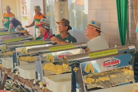 Começa 'maior pamonhada do mundo' em Jesúpolis; são esperadas mais de 10 mil pessoas