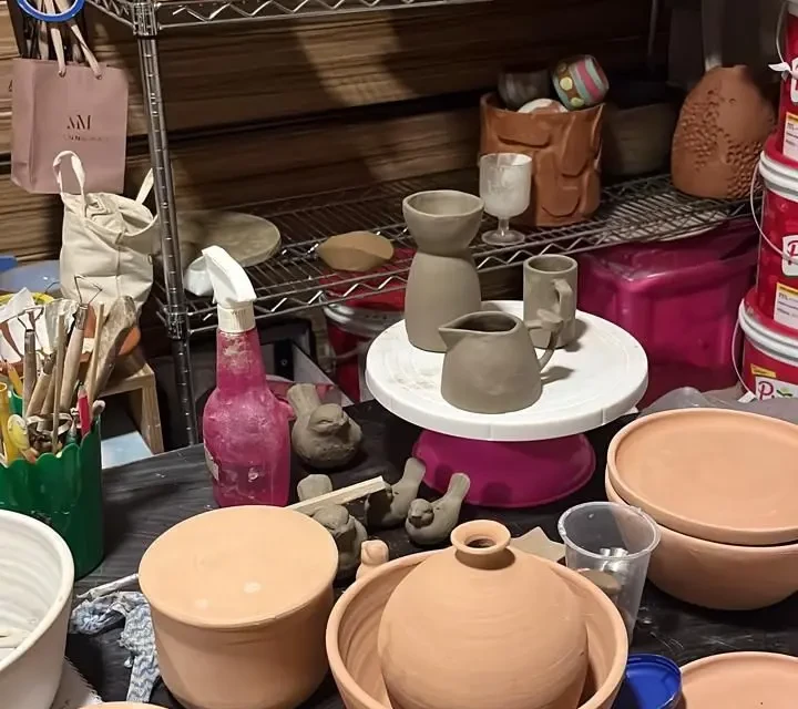 image Internet via satélite transforma rotina de mulheres que trocaram a cidade grande por Pirenópolis