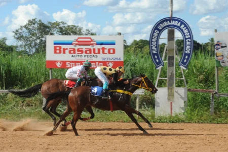 Hipódromo da Lagoinha prevê novas corridas após retomada com apostas em Goiânia