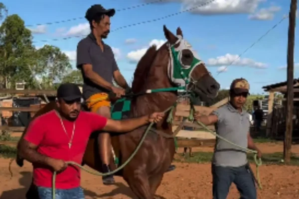 Bolsonaro perde corrida de cavalos em Anápolis; entenda (Foto: Reprodução)