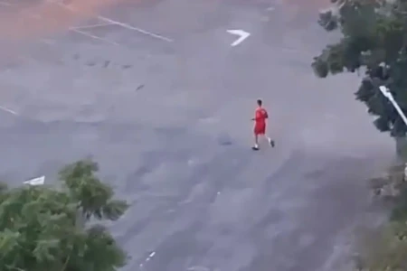 Cachorro morto a tiros no Serra Dourada: veja se bombeiros podem andar armados (Foto: Reprodução)