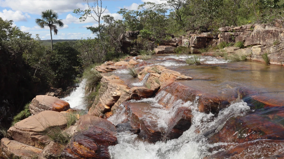 VISITA TÉCNICA À CAVALCANTE