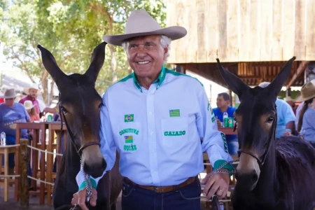 Candidatura de Caiado atrai o agro e esfria adesão a Flávio Bolsonaro (Foto: Divulgação)
