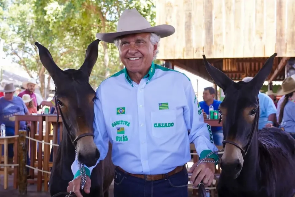 Candidatura de Caiado atrai o agro e esfria adesão a Flávio Bolsonaro (Foto: Divulgação)