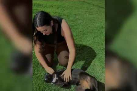 Estudante de Veterinária surda cria coleiras refletivas para cães de rua em Rio Verde