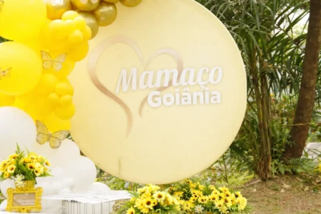 Mamaço coletivo com transporte gratuito e atividades; saiba o que é o evento Em Goiânia, por exemplo, iniciativa ocorre há 11 anos