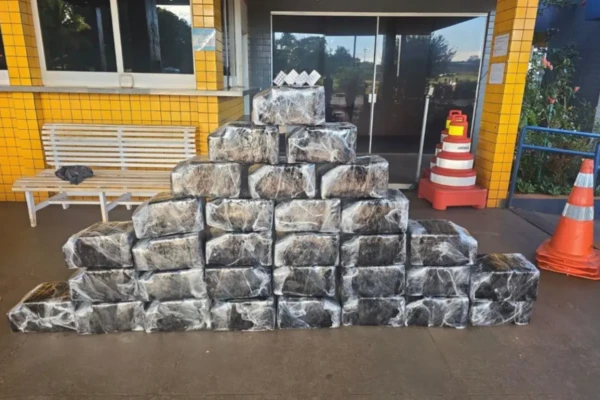 Imagem da droga apreendida