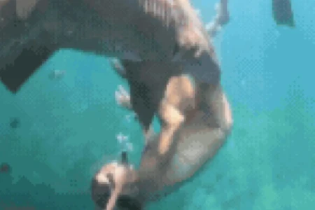 Novo vídeo mostra momento em que surfista é mordida por tubarão em Fernando de Noronha (Foto: Reprodução)