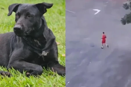 Bombeiro matou cachorro durante corrida - (Foto: reprodução)