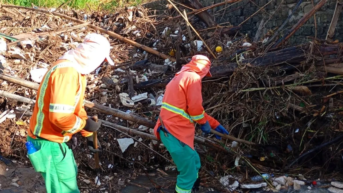 WhatsApp Image 2026-04-10 at 15.20.54