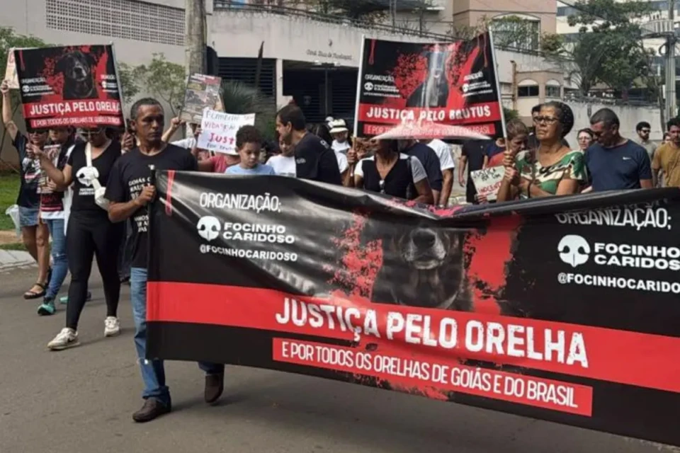 Justiça pelo Brutus: ato pede punição a bombeiro que matou cão em Goiânia (Foto cedida com exclusividade ao Mais Goiás)