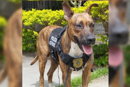 Inspetor Chocolate fardado com colete - (Foto: arquivo pessoal)