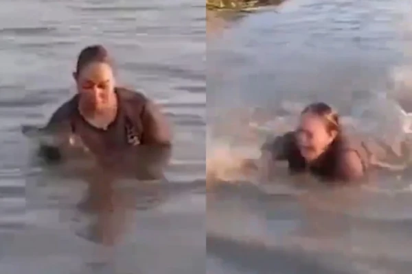 Banhista segura 'pedaço de tronco' e descobre que era um jacaré; assista