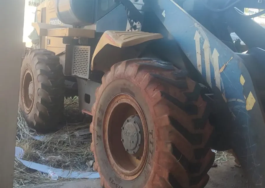 image Cavalo morre após semanas doente às margens de rodovia em Terezópolis de Goiás
