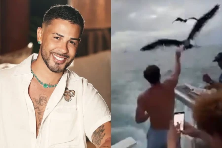 Carlinhos Maia é multado em R$ 1 milhão por vídeo com aves silvestres em Fernando de Noronha