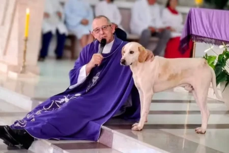 Vira-lata caramelo vira fiel e passa a frequenta missas igreja cachorro de rua acompanha celebrações e “escuta” sermões ao lado do padre
