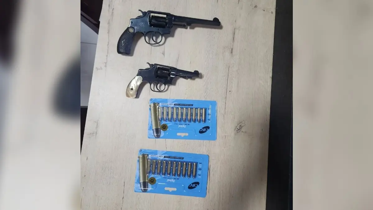 armas fabiano pedrosa leão