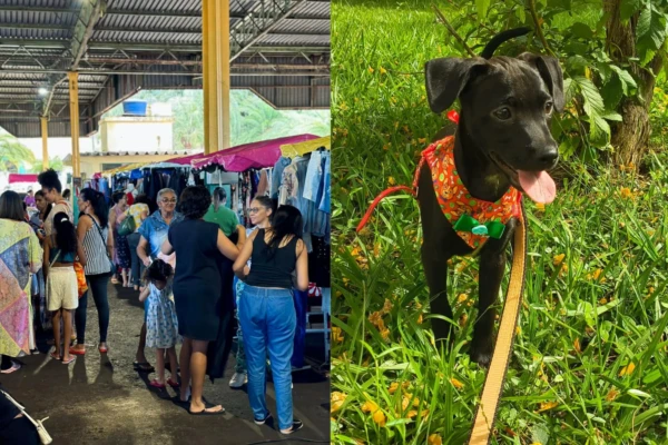 Feira de Brechós Cabide Rosa reúne moda, adoção de animais e música em Goiânia