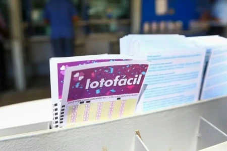 Lotofácil 3662: veja resultado e prêmios que saíram para Goiás (Foto: Agência Brasil)
