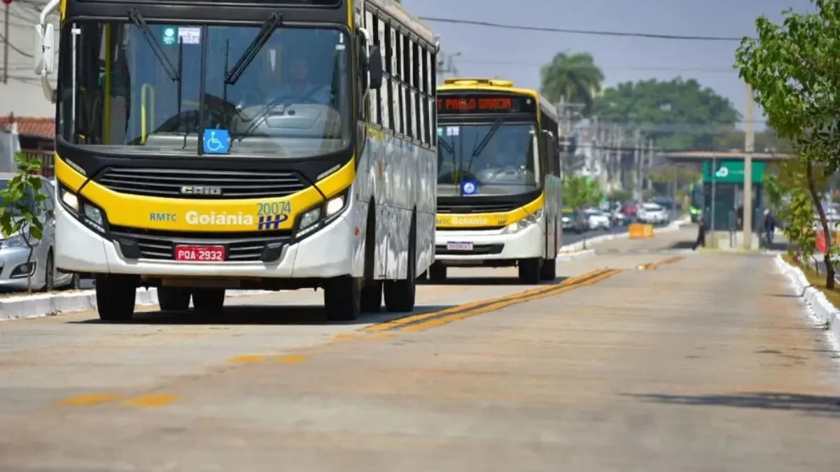 Veja lista dos 10 bairros de Goiânia com mais casos de dengue (Foto: Jucimar de Sousa)