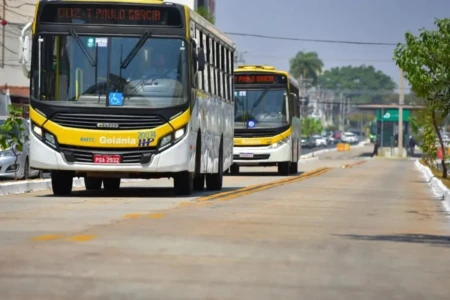 Veja lista dos 10 bairros de Goiânia com mais casos de dengue (Foto: Jucimar de Sousa)