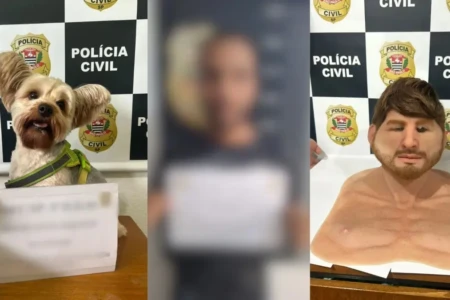 Homem usa máscara realista para furtar cão da ex e tentar forçar retirada de denúncia em SP