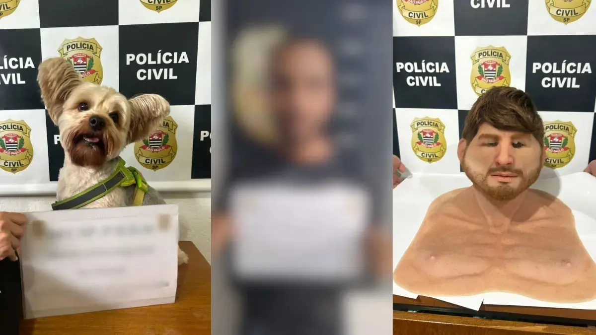 Homem usa máscara realista para furtar cão da ex e tentar forçar retirada de denúncia em SP