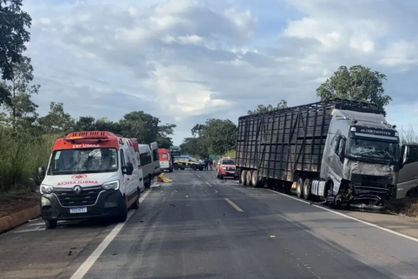 Grave acidente entre van, carro e caminhão deixa 8 mortos na BR-020, em Formosa