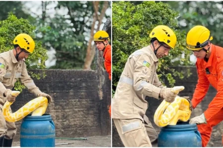 Bombeiros resgatam cobra de quase 4 metros no centro de Aruanã