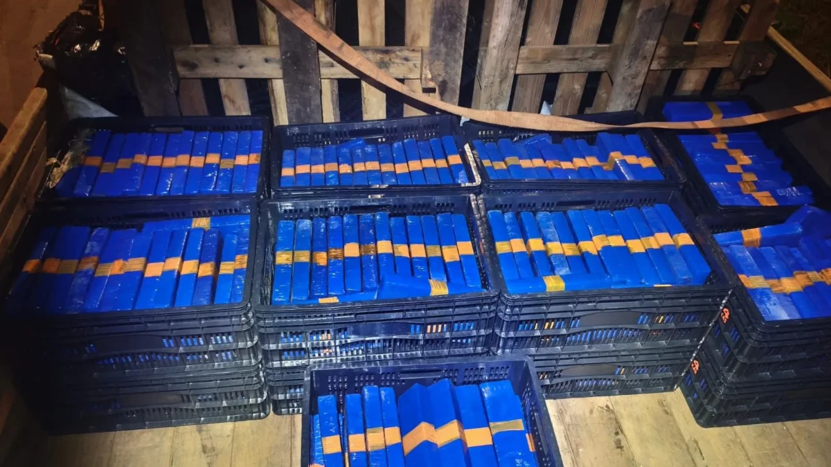 WhatsApp Image 2026-04-22 at 11.56.32