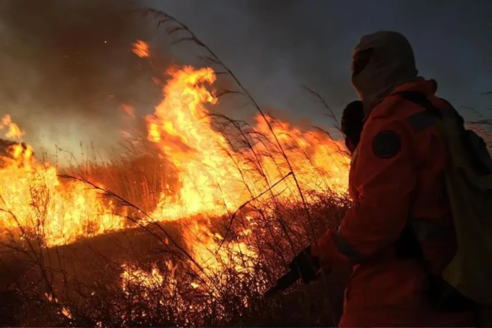 Estado vai remunerar brigadas comunitárias que combatem incêndios florestais em Goiás (Foto ilustrativa: CBM/MG)