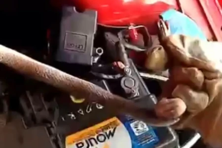 Bombeiros resgatam cobra-cipó sob o capô de um carro em Luziânia