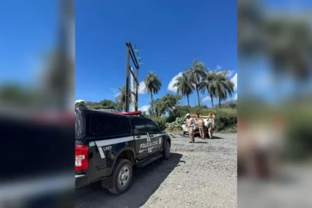 Empresa de extração de brita e calcário em distrito de Formosa é flagrada em 'gato' de energia