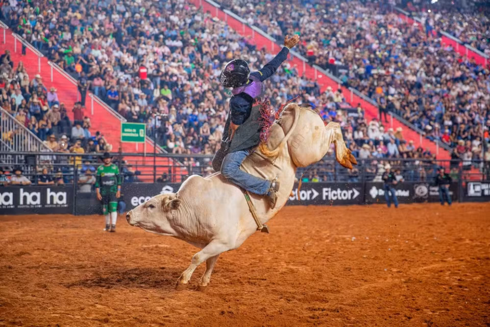 Rodeio PBR