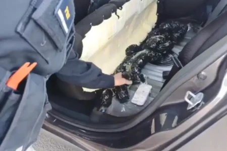 Ampolas estavam escondidas em compartimentos do veículo - (Foto: reprodução/PRF)