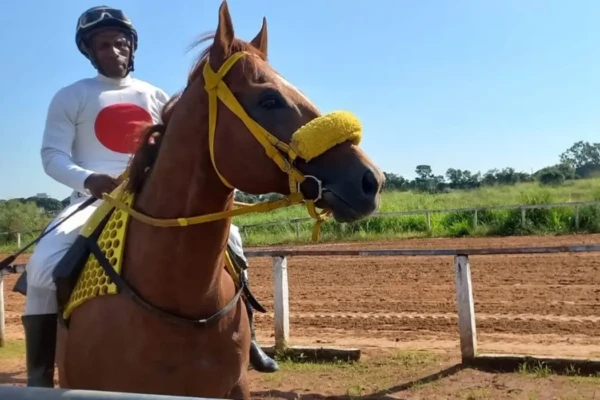 Hipódromo da Lagoinha é a única pista de cavalos que segue ativa no Centro-Oeste