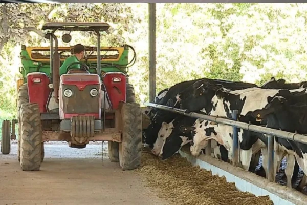 CNJ endurece regras da recuperação judicial no agronegócio e amplia exigências (Foto: Governo de Goiás)
