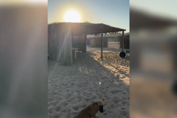 Rancheiros de Aruanã iniciam demarcação de praias para a temporada do Rio Araguaia