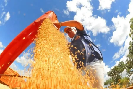 Imagem mostra trabalhador durante colheita