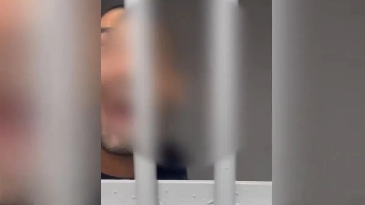 Homem invade e causa alvoroço em delegacia em Trindade: ‘sou mais doido que vocês’ (Foto: Reprodução)