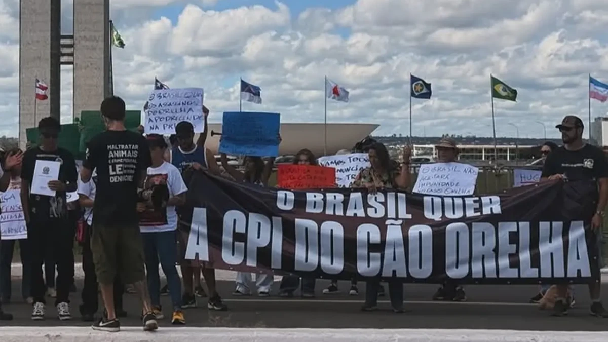 captura de tela 2026 05 02 145230 Cruz com nomes de cães vítimas de maus-tratos em Goiânia marca ato por CPI do caso Orelha