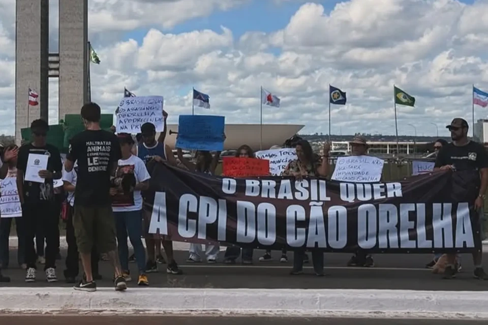 captura-de-tela-2026-05-02-145230