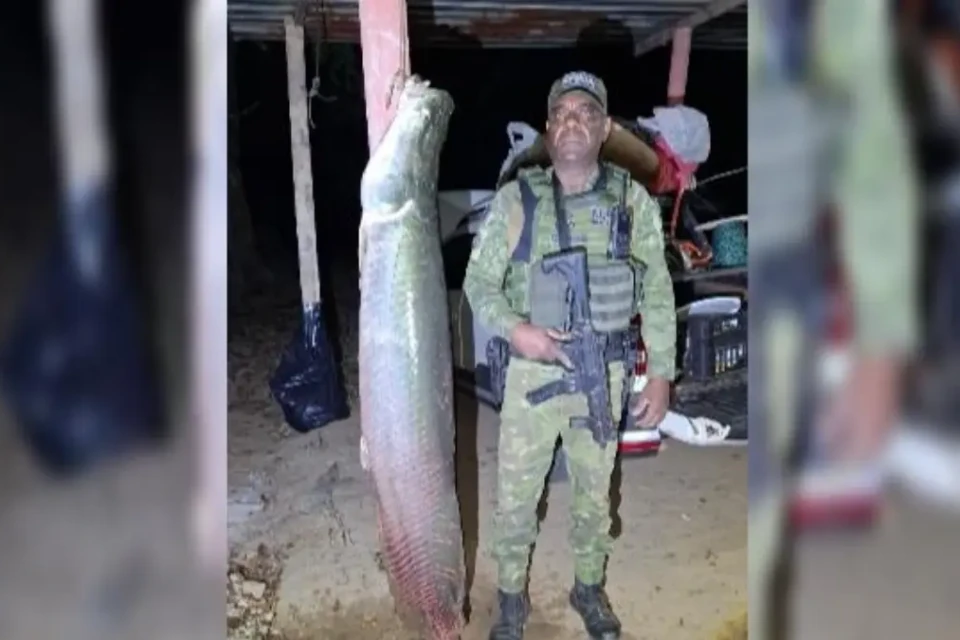 Pirarucu ao lado de policial militar - (Foto: reprodução/PM)